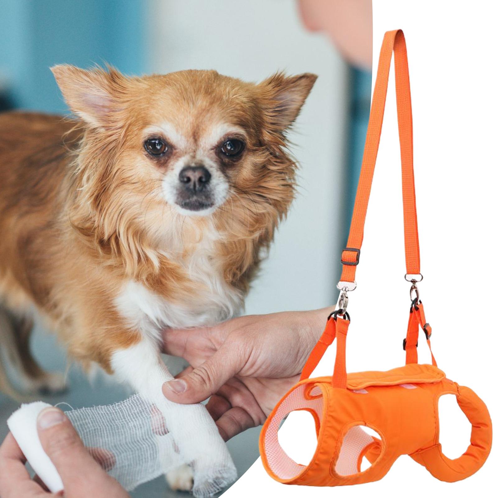 Selempang Anjing Besar Pembawa - Ladder Toss Set ulasan dan harga